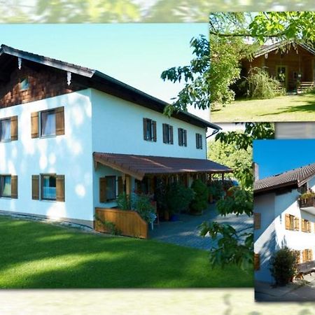 Obermoarhof Apartman Anger Kültér fotó